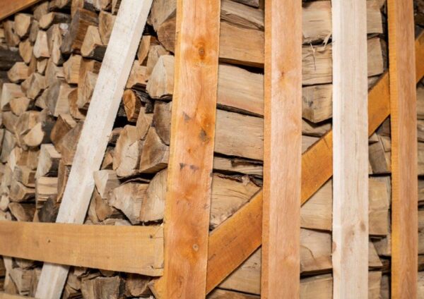 Brennholz Buche 25 cm 2 RM Palette – Image 6