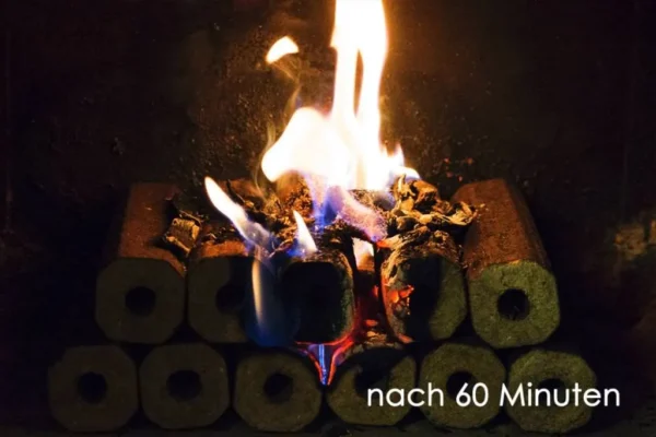 PINI KAY Premium Holzbriketts aus Buchenholz, 96 x 10kg Briketts, 960kg Palette – Image 3