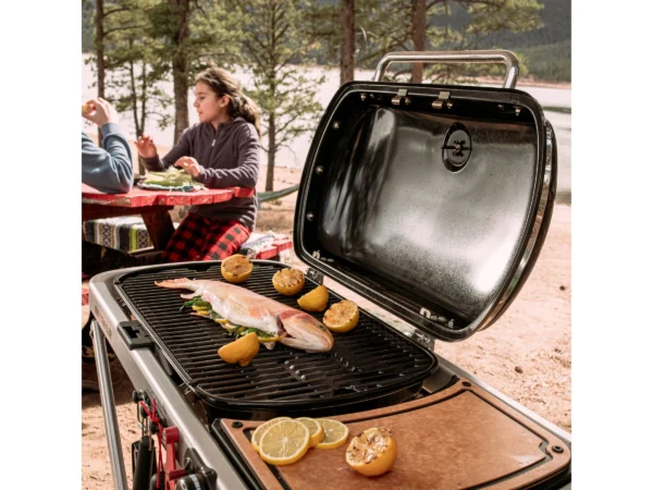 Weber Camping-Gasgrill Traveler mit 1 Brenner und Rollwagen Schwarz – Image 14