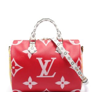 2018 Speedy NM 30 Bandoulière Handtasche