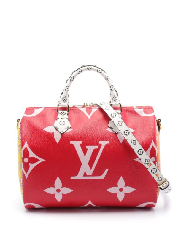 2018 Speedy NM 30 Bandoulière Handtasche