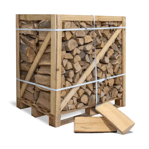 Brennholz Buche 1 RM 500 kg