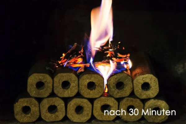 PINI KAY Premium Holzbriketts aus Buchenholz, 96 x 10kg Briketts, 960kg Palette – Image 10