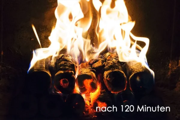 PINI KAY Premium Holzbriketts aus Buchenholz, 96 x 10kg Briketts, 960kg Palette – Image 9